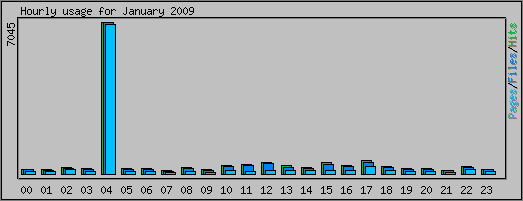 Hourly usage