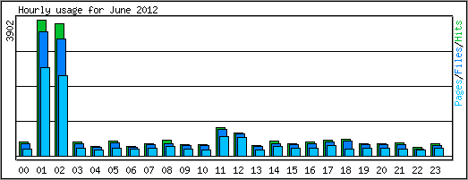 Hourly usage