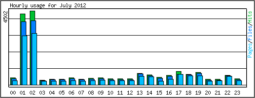 Hourly usage