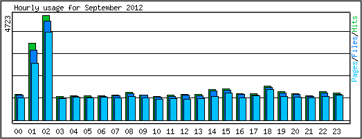 Hourly usage