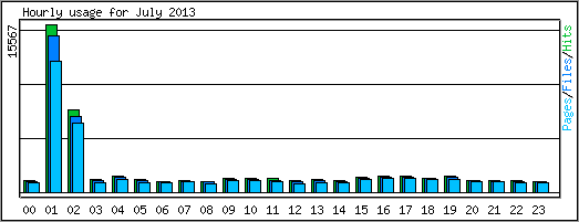 Hourly usage