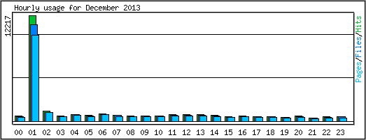 Hourly usage