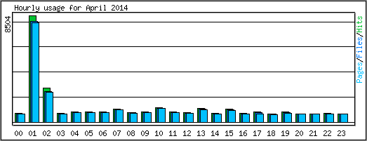 Hourly usage