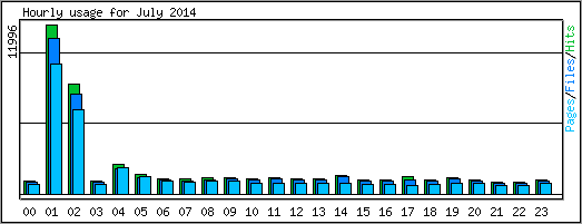 Hourly usage