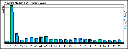 Hourly usage