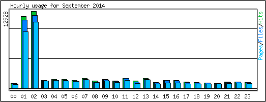 Hourly usage
