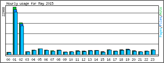 Hourly usage