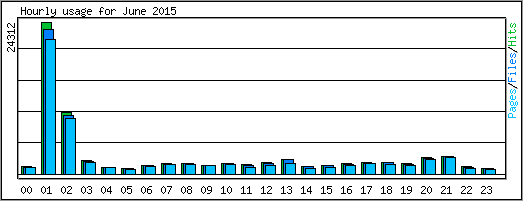 Hourly usage