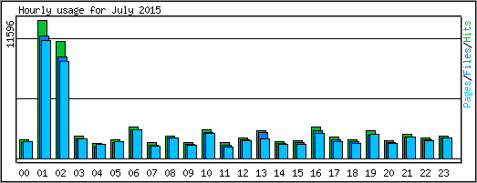 Hourly usage