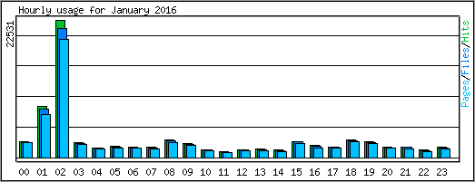 Hourly usage