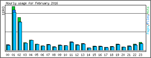 Hourly usage