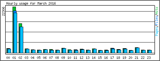 Hourly usage