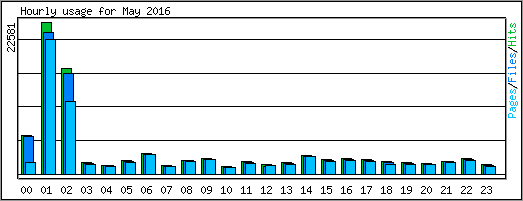 Hourly usage