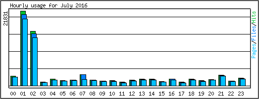 Hourly usage