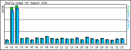 Hourly usage