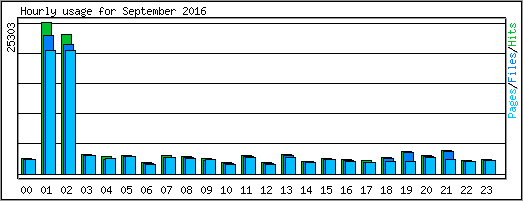 Hourly usage