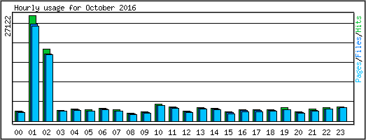 Hourly usage