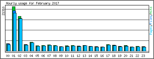Hourly usage