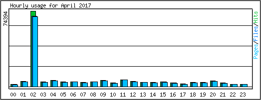 Hourly usage