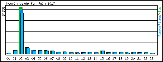 Hourly usage