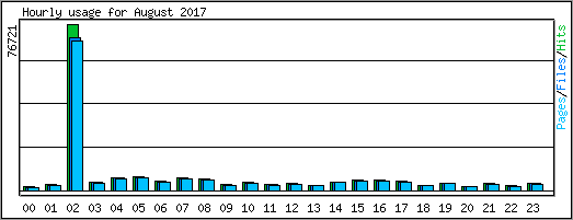 Hourly usage