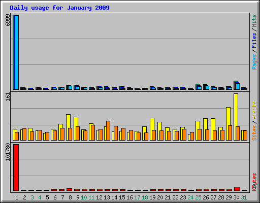 Daily usage for January 2009