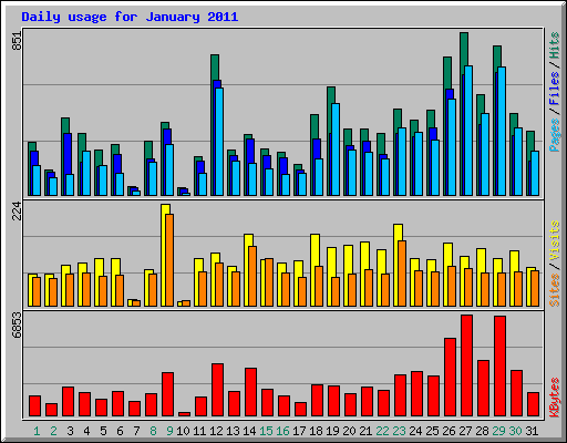 Daily usage for January 2011