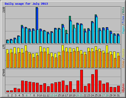 Daily usage for July 2013