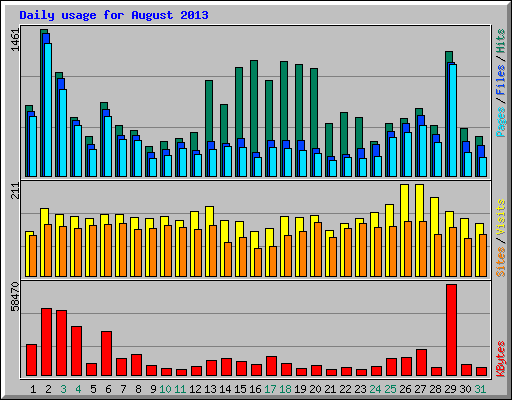 Daily usage for August 2013