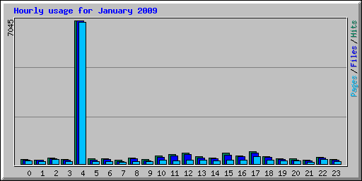 Hourly usage for January 2009