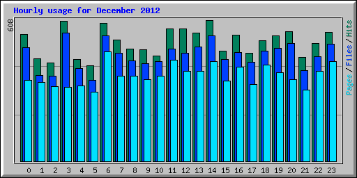 Hourly usage for December 2012