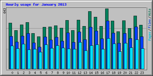Hourly usage for January 2013