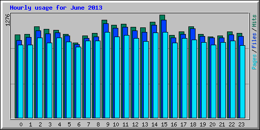 Hourly usage for June 2013