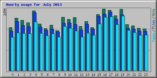 Hourly usage for July 2013