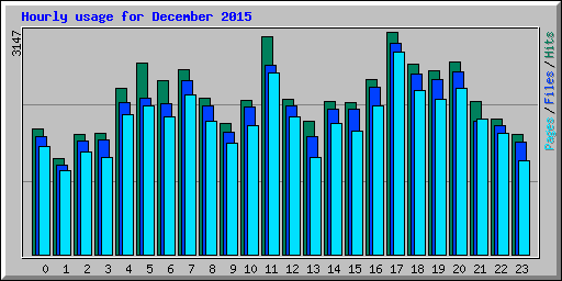 Hourly usage for December 2015