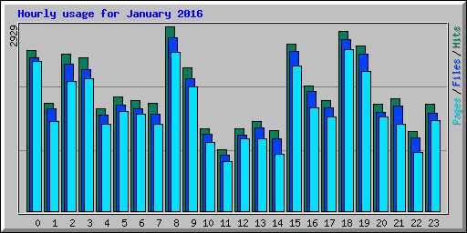 Hourly usage for January 2016