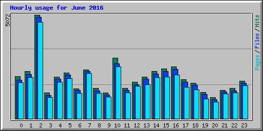 Hourly usage for June 2016
