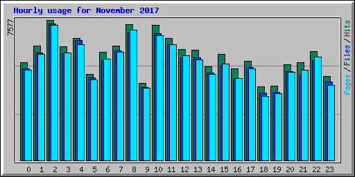 Hourly usage for November 2017