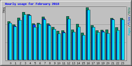Hourly usage for February 2018